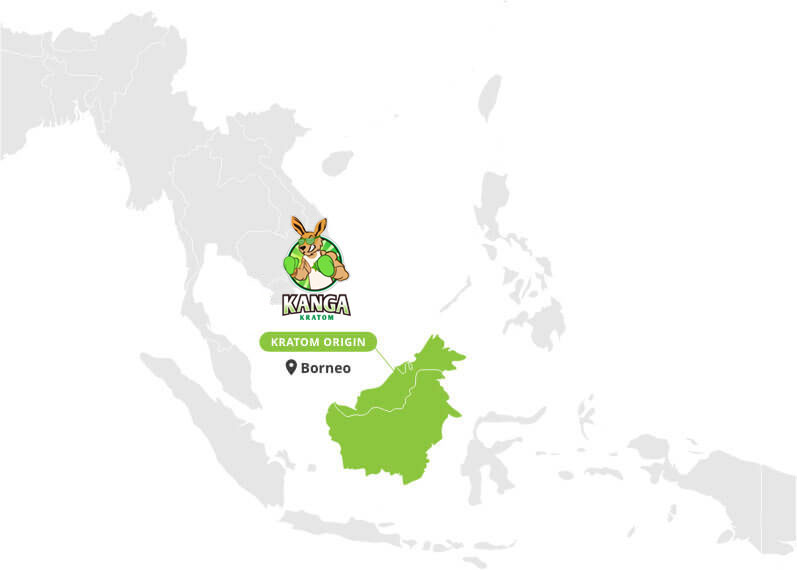 Origin of Red Borneo Kratom Powder - By Kanga Kratom